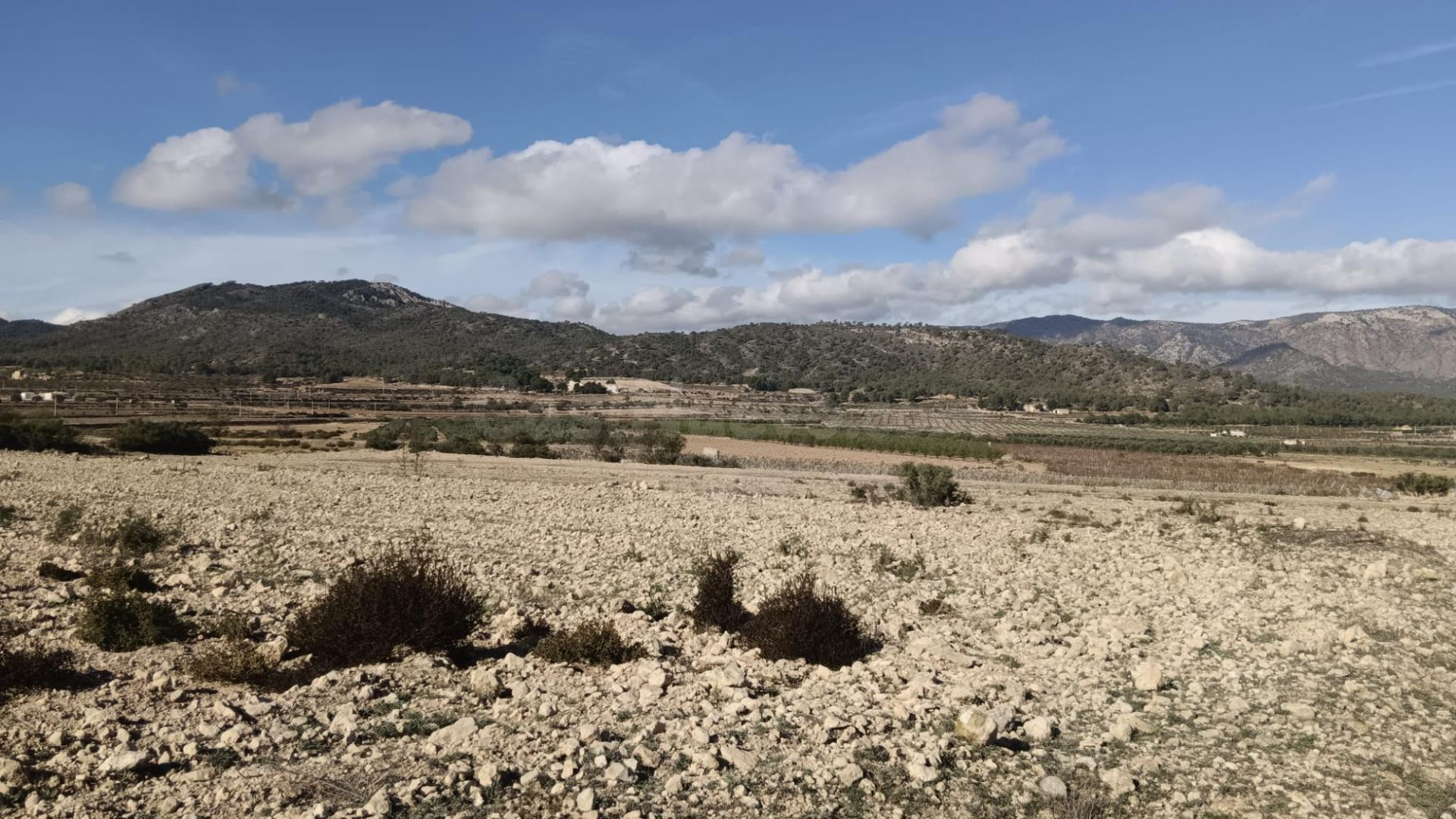 Fincas rurales en venta en Salinas - Comunidad Valenciana