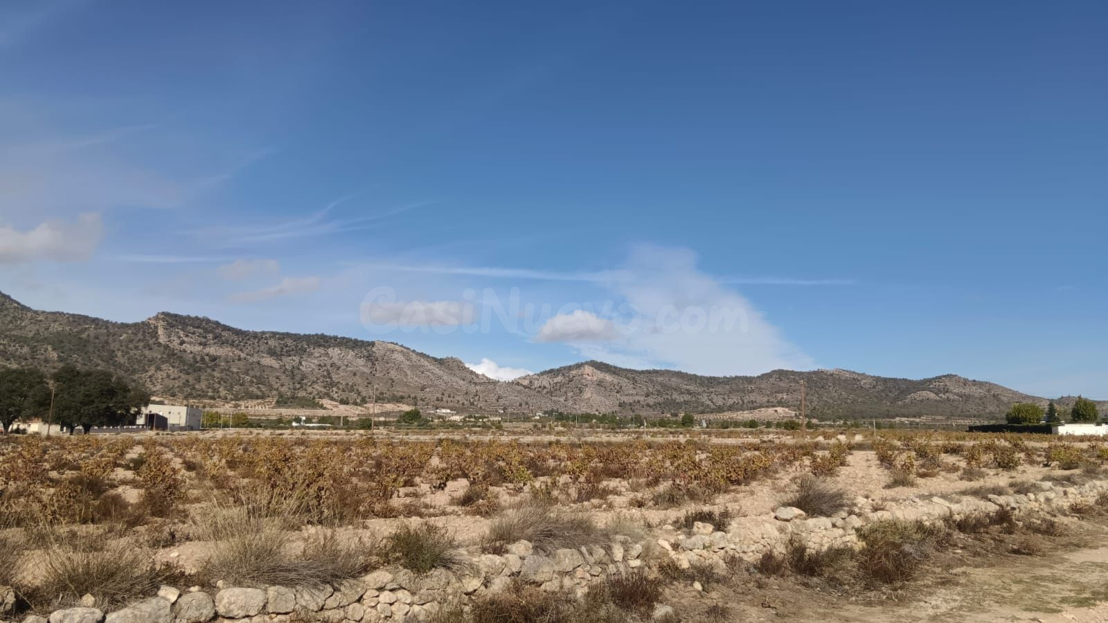 Casa de campo en Salinas, Alicante - Terreno edificable de 10.000 m2