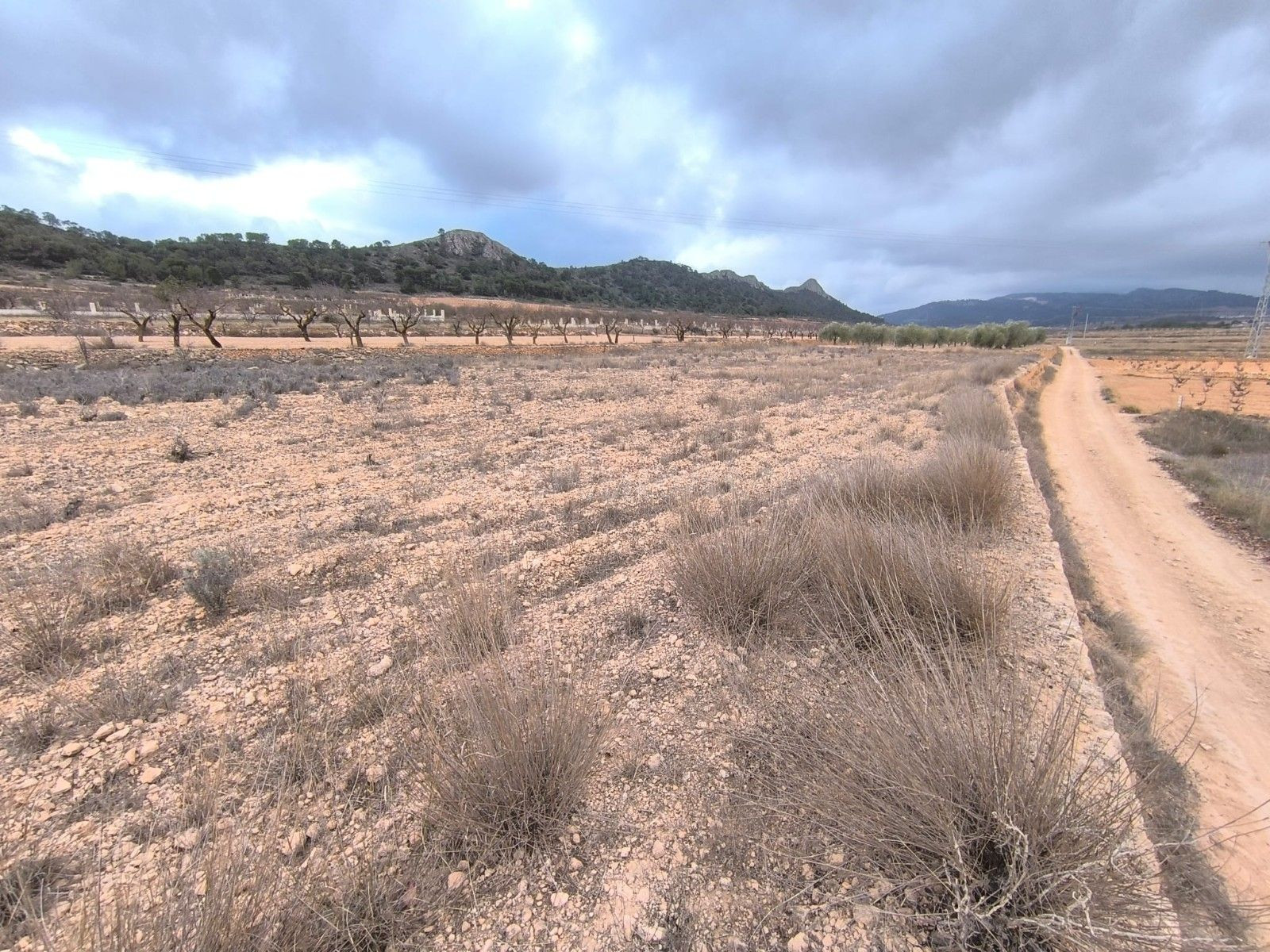Parcela con vistas en Pinoso, Comunidad Valenciana