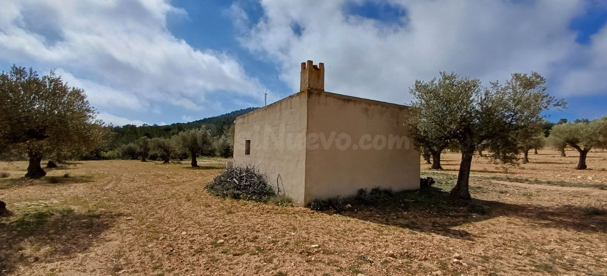 Parcela 30m² en venta - Yecla