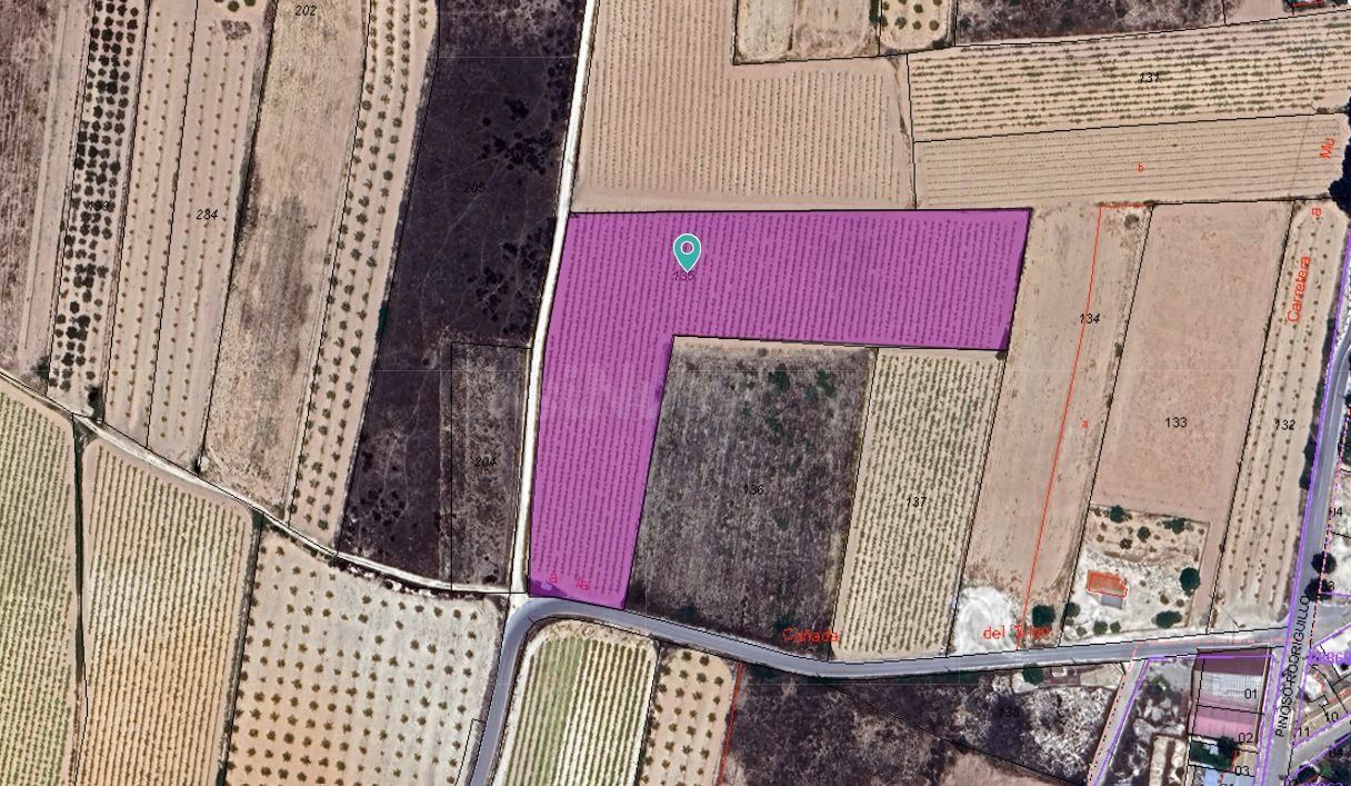Terreno rural en Pinoso, Comunidad Valenciana