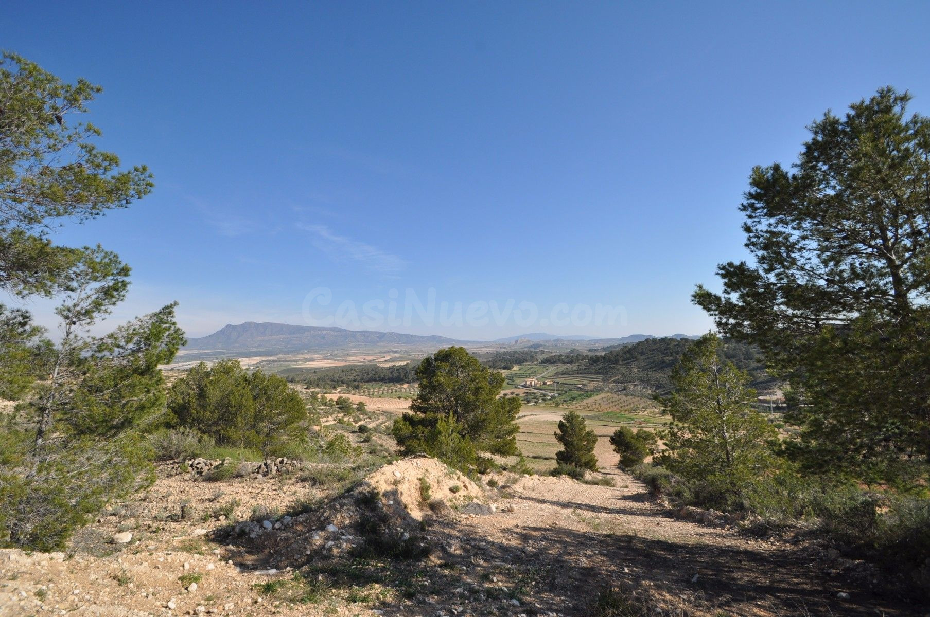 Parcela en venta - Jumilla