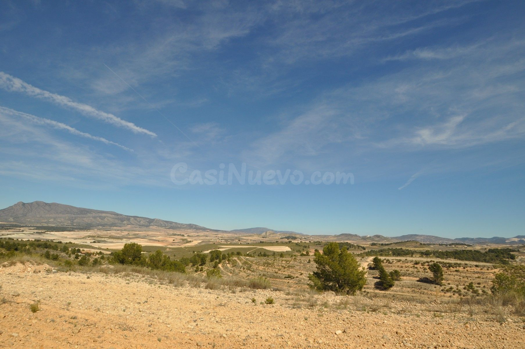 Parcela en venta - Jumilla