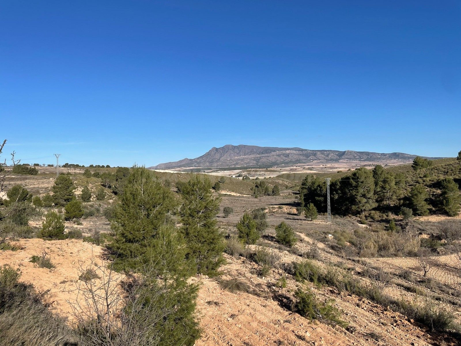 Parcela en venta - Jumilla