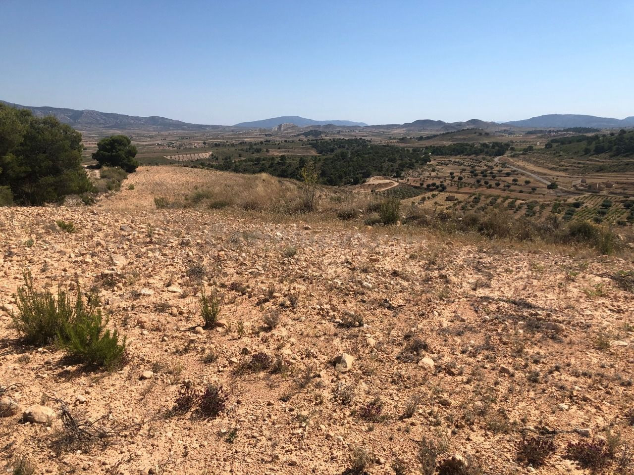 Parcela en venta - Extremadura