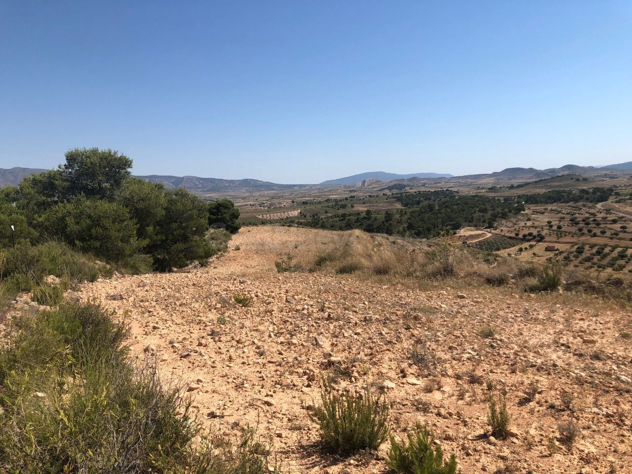 Parcela en venta - Extremadura - foto 4
