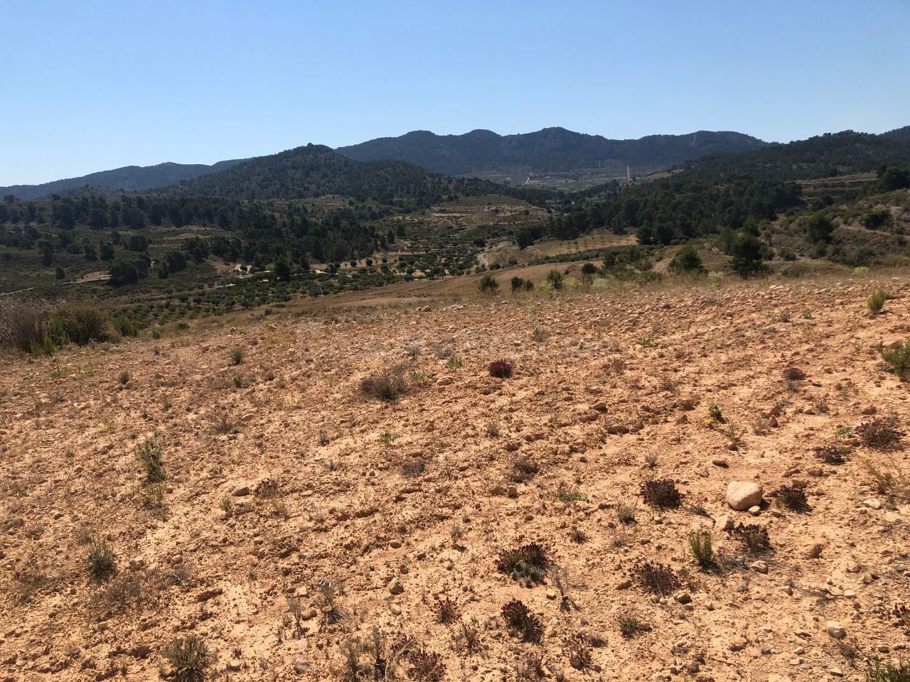 Parcela en venta - Extremadura - foto 5