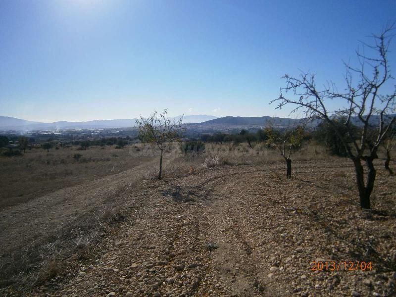 Parcela en venta - Ayuntamiento