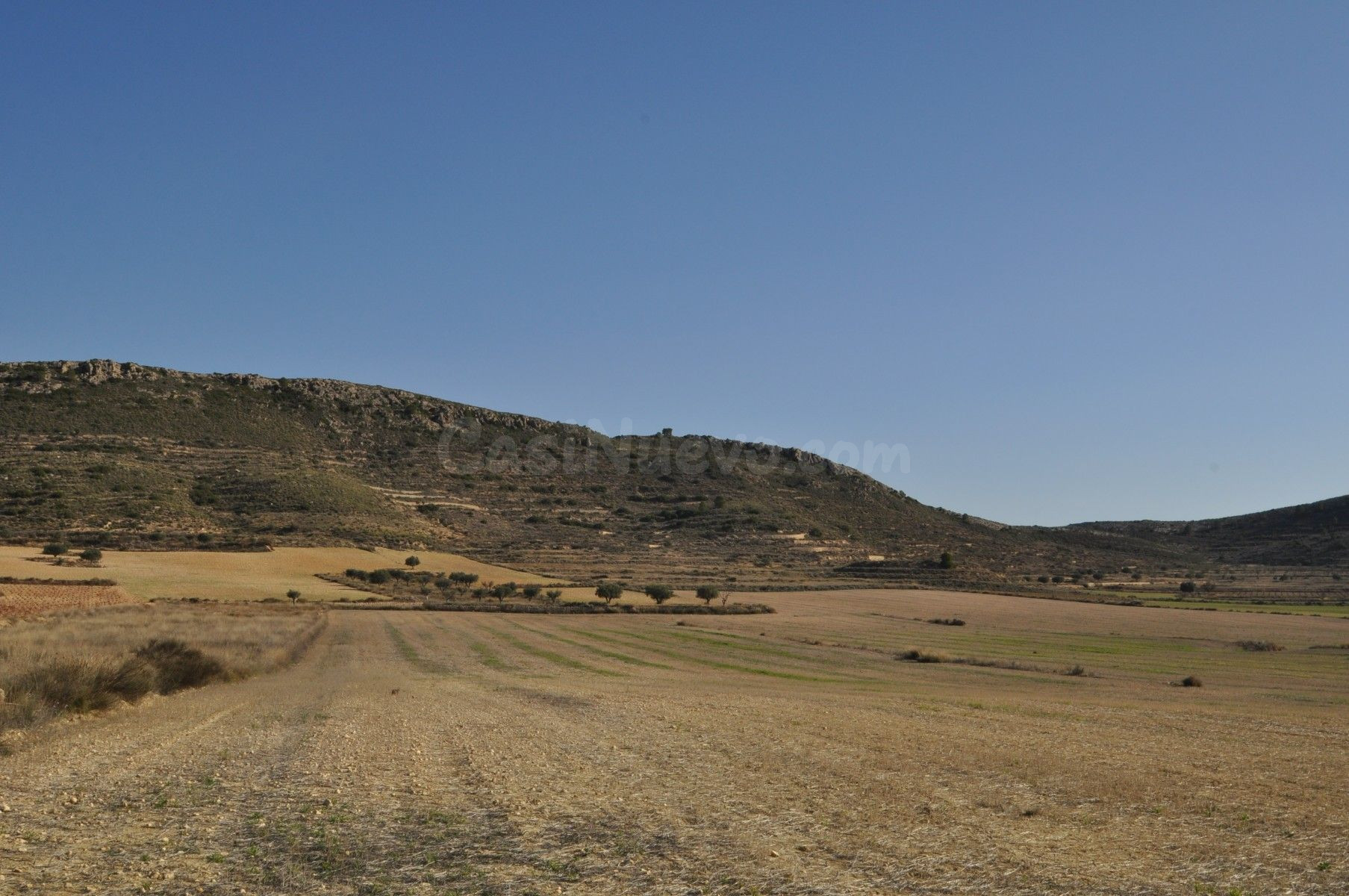 Parcela 2000m² en venta - Torre del rico