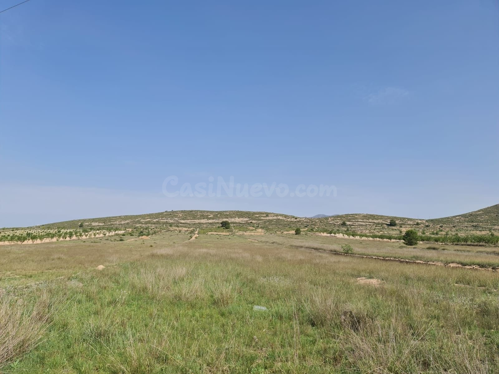 Parcela en venta - Jumilla centro