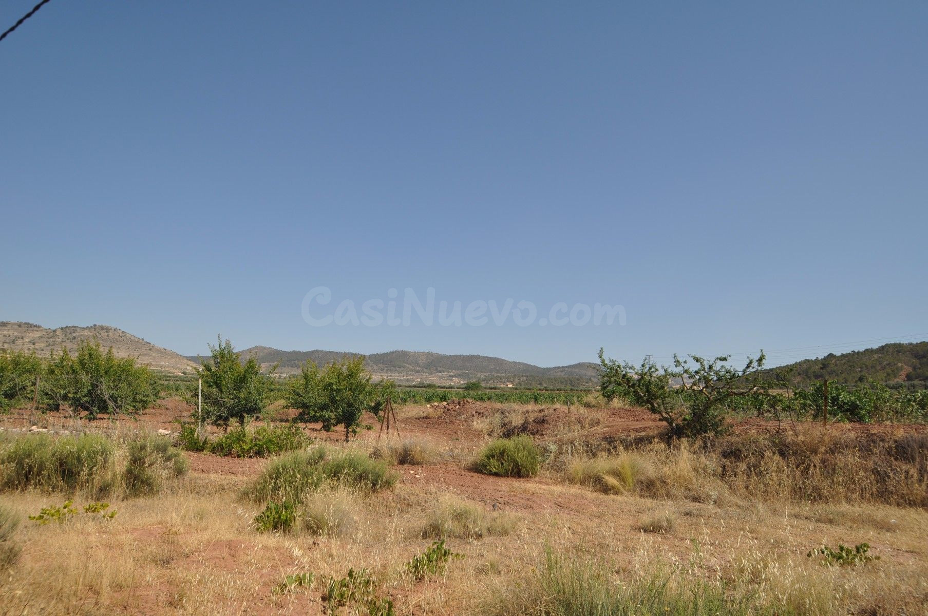 Parcela rústica en venta en Pinoso, Comunidad Valenciana