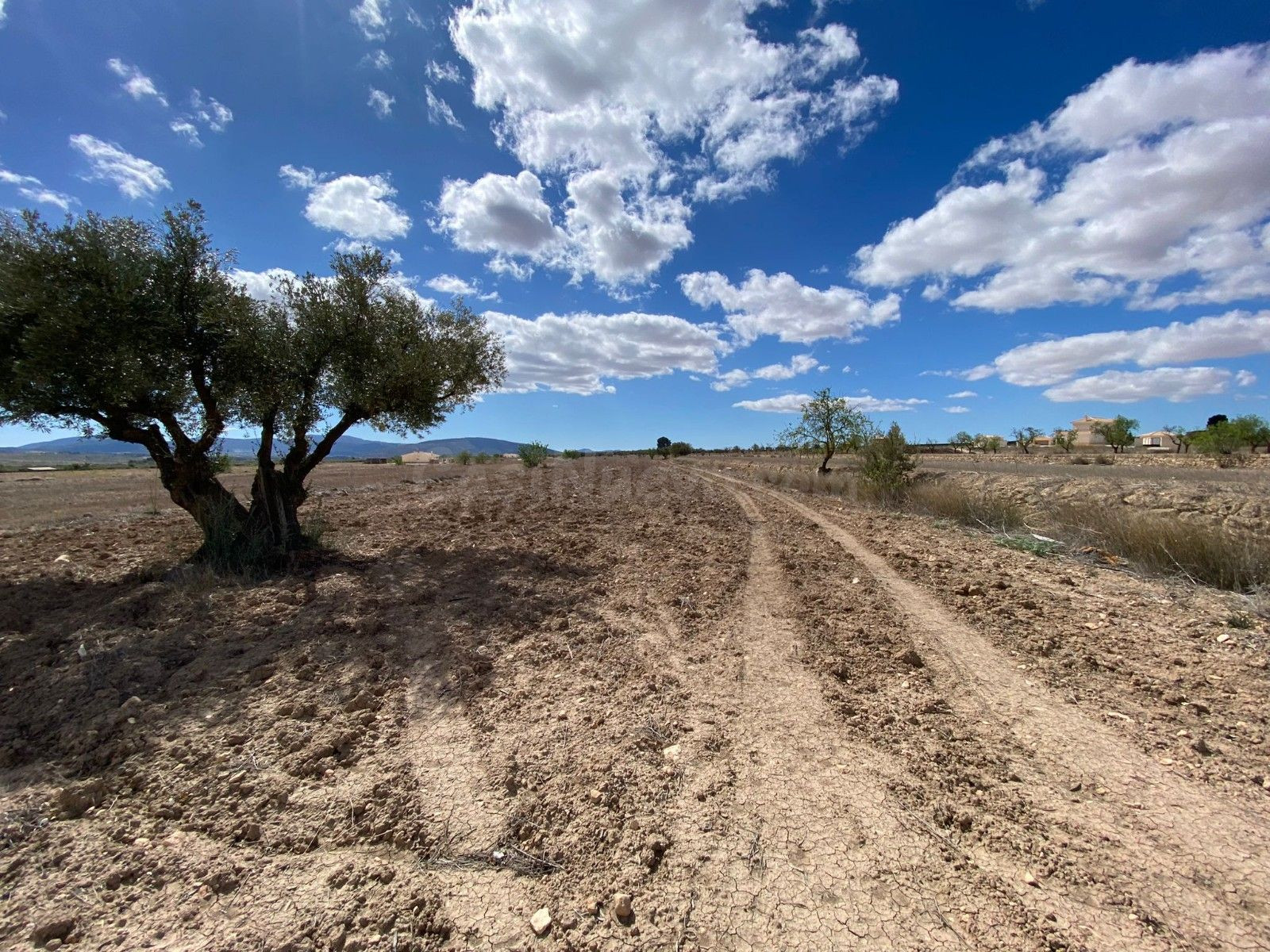 Parcela con agua en Pinoso, Comunidad Valenciana