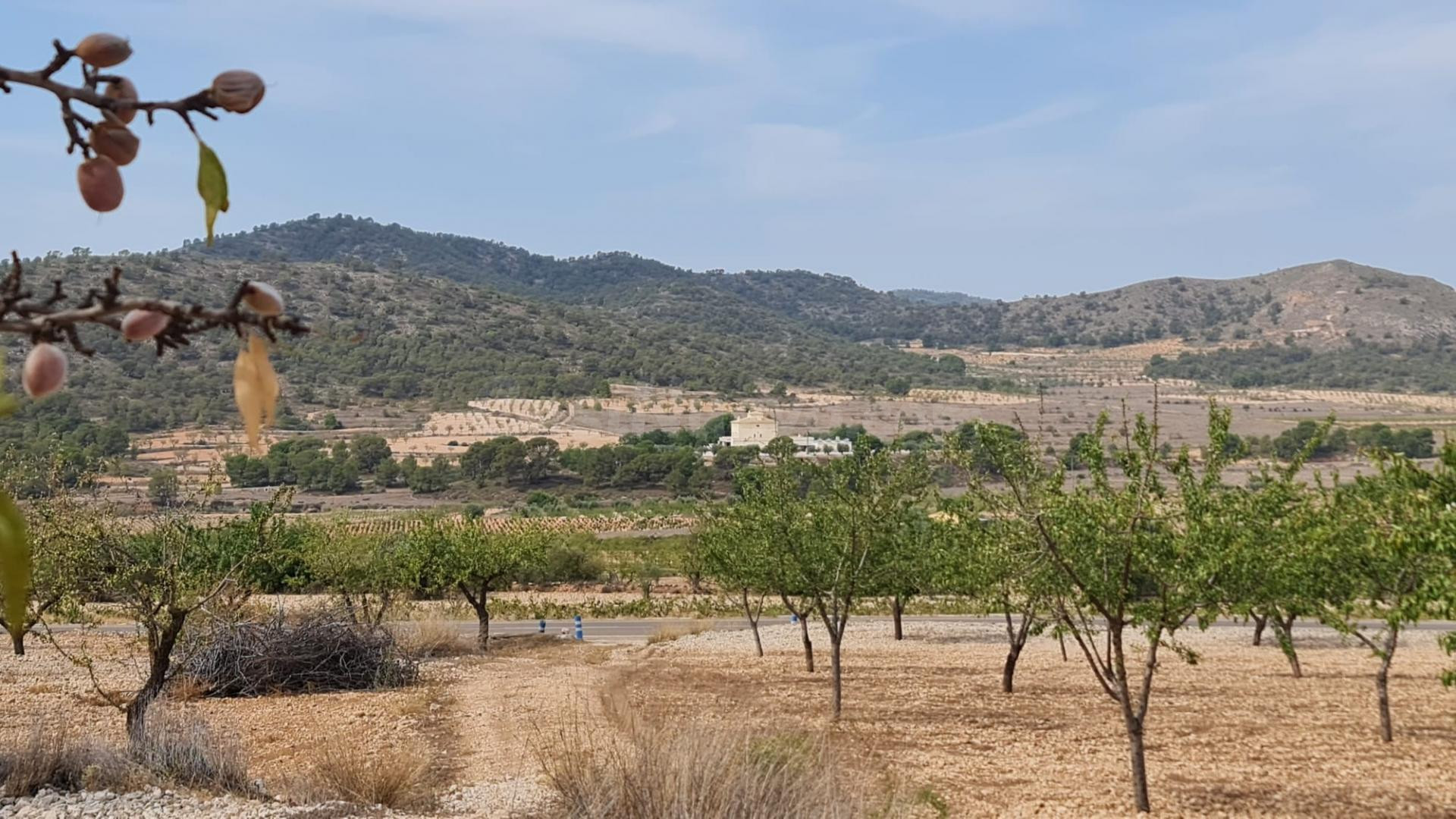 Parcela de 7.558 m2 en venta en Algueña, Comunidad Valenciana