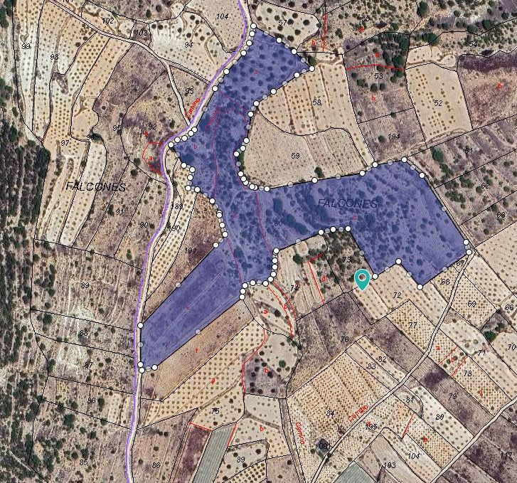 Terreno amplio en venta en Monóvar, Comunidad Valenciana – 64.796 m²