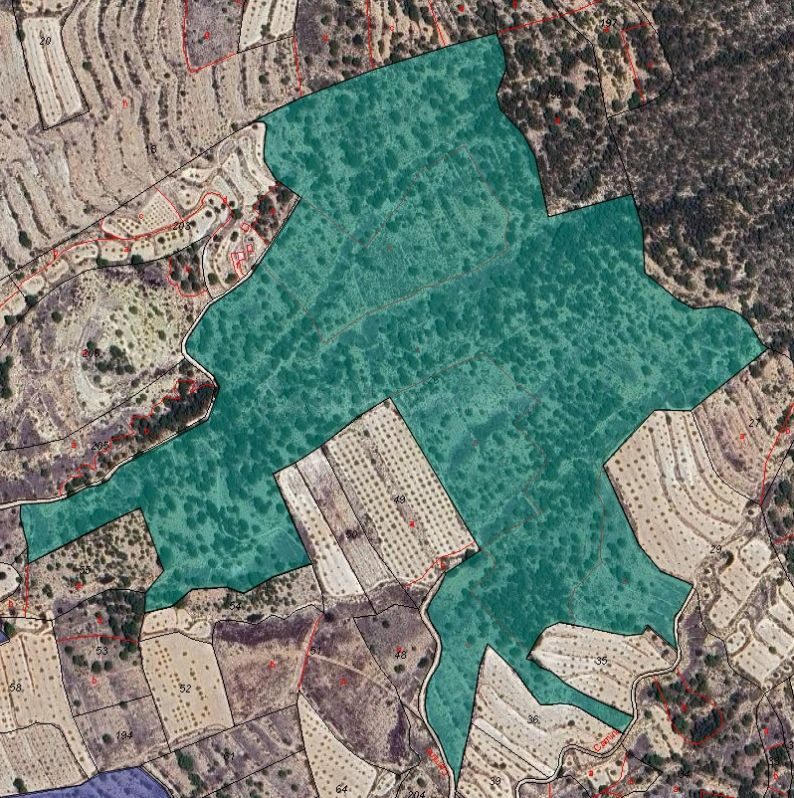 Parcela de terreno en Monóvar, Comunidad Valenciana