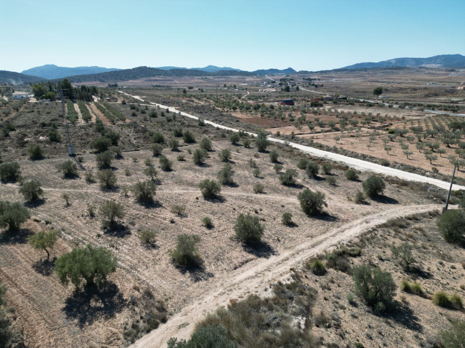 Parcela agrícola en venta en Pinoso, Comunidad Valenciana