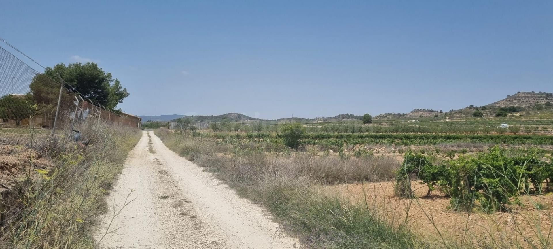 Vivienda en parcela en Pinoso, Comunidad Valenciana