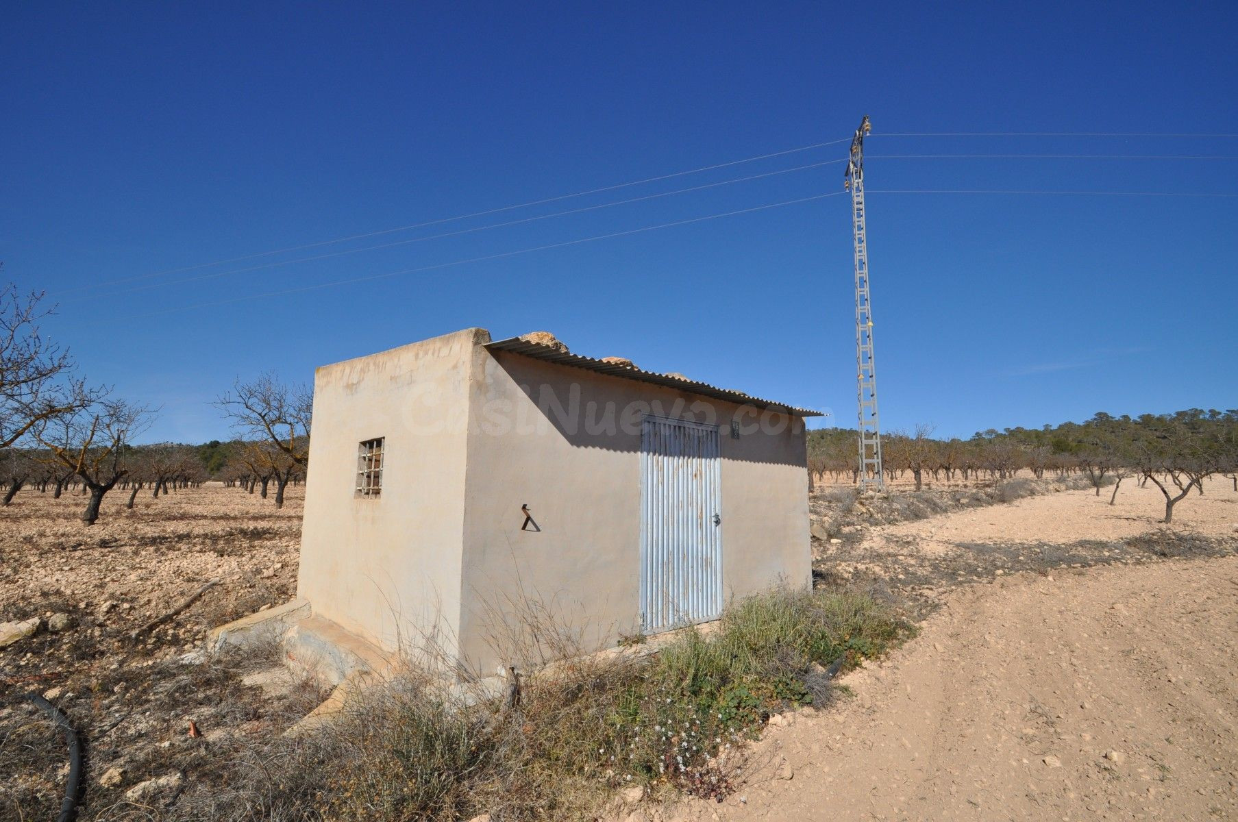 Terreno agrícola en venta en Monóvar, Comunidad Valenciana