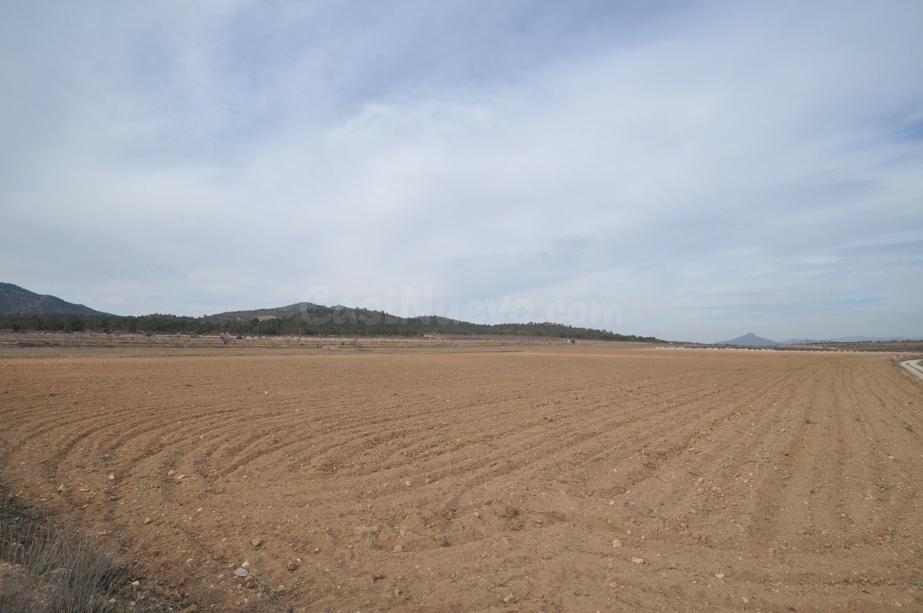 Parcela rural en Monóvar, Comunidad Valenciana, para desarrollar un proyecto único