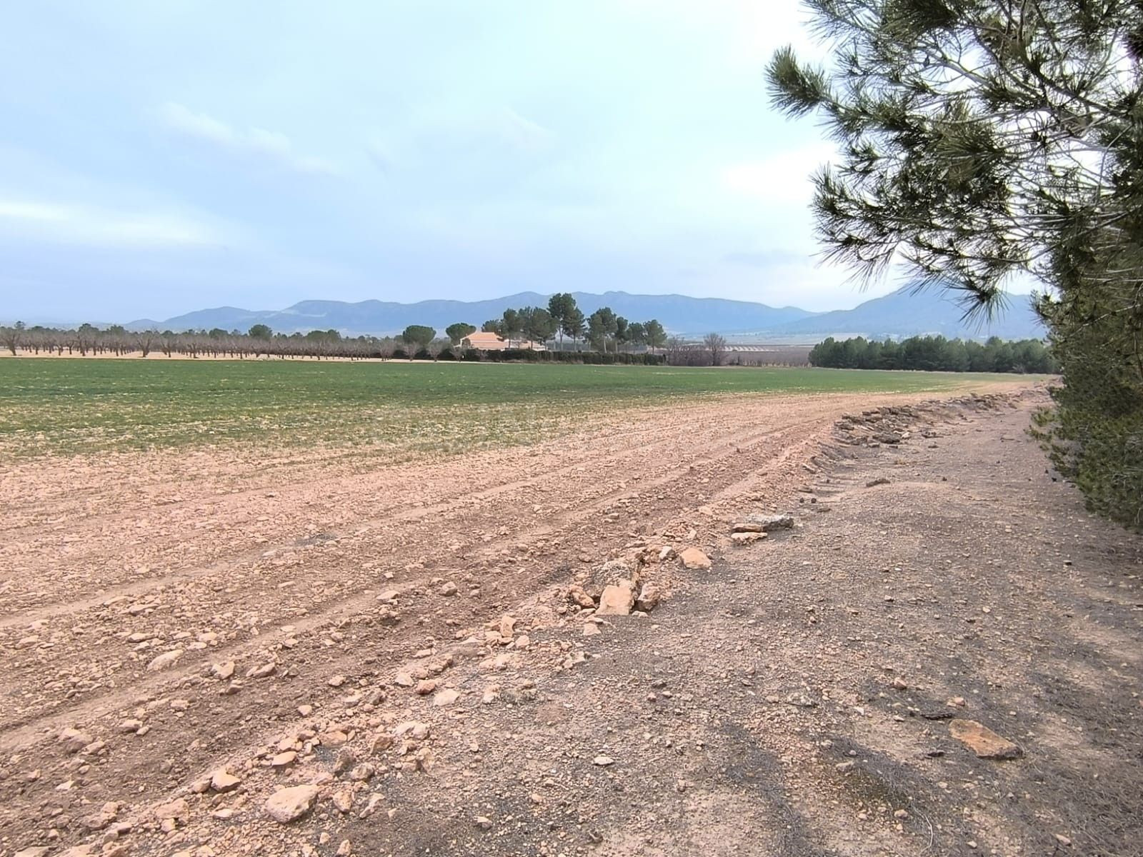 Parcela en venta - Ayuntamiento