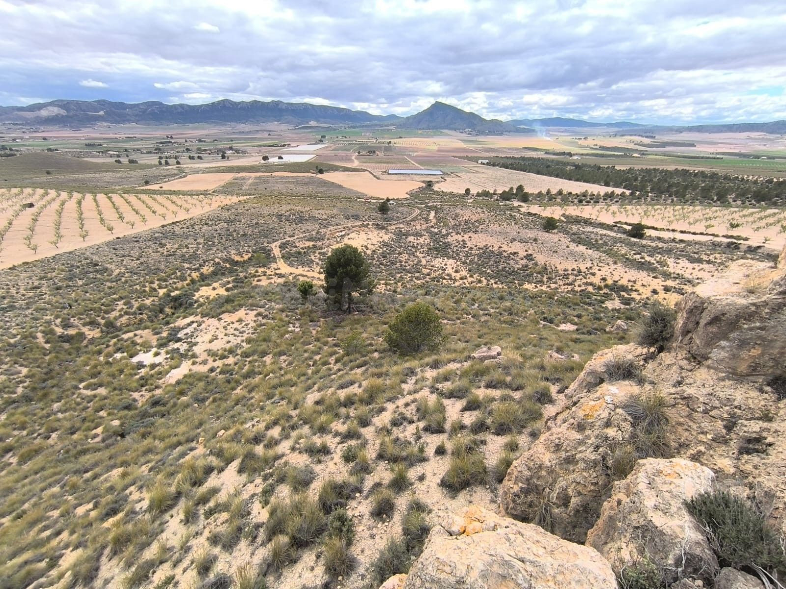 Parcela 5m² en venta - Ayuntamiento