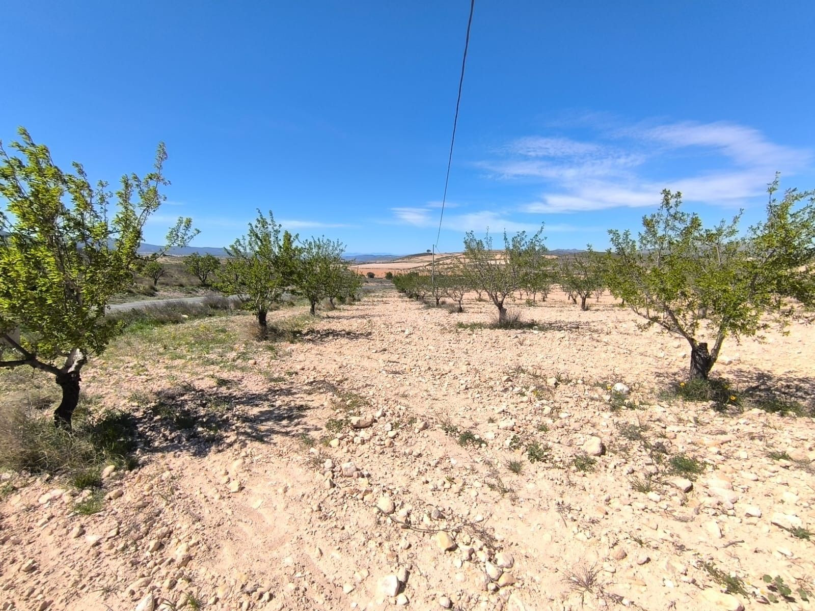 Parcela rústica para agricultura en Pinoso, Comunidad Valenciana