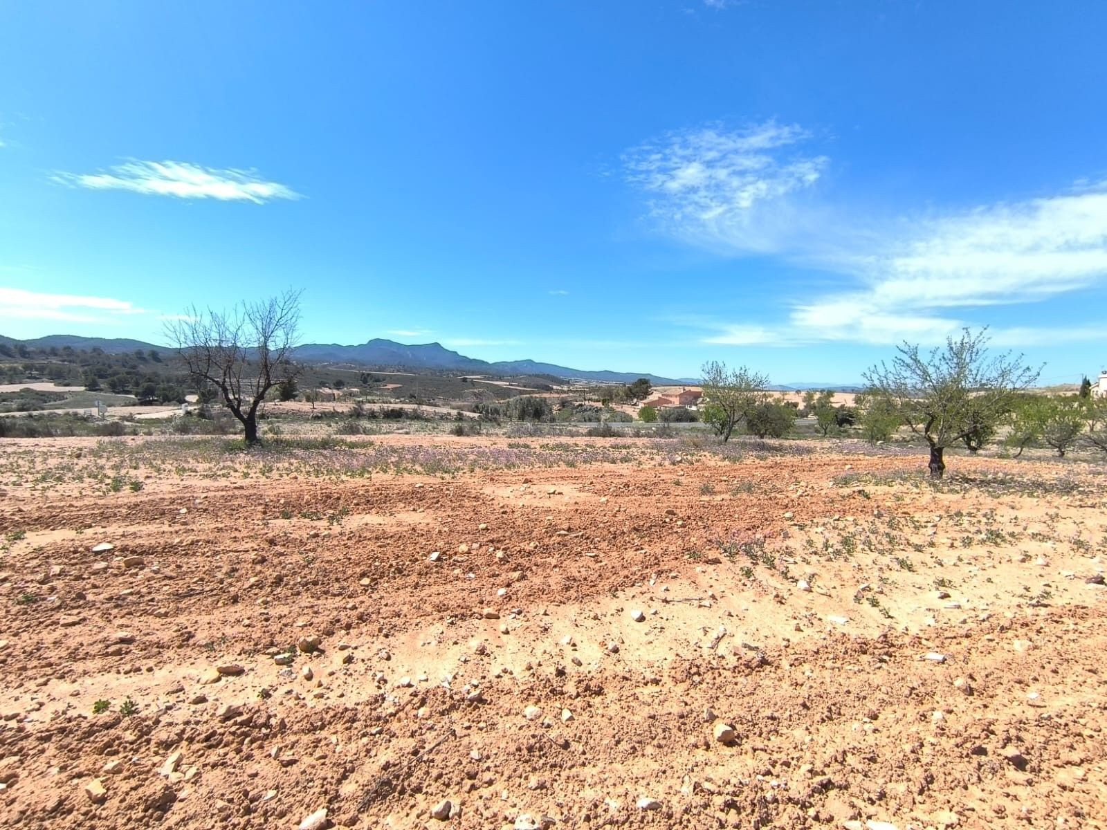 Parcela agrícola en venta en la Comunidad Valenciana