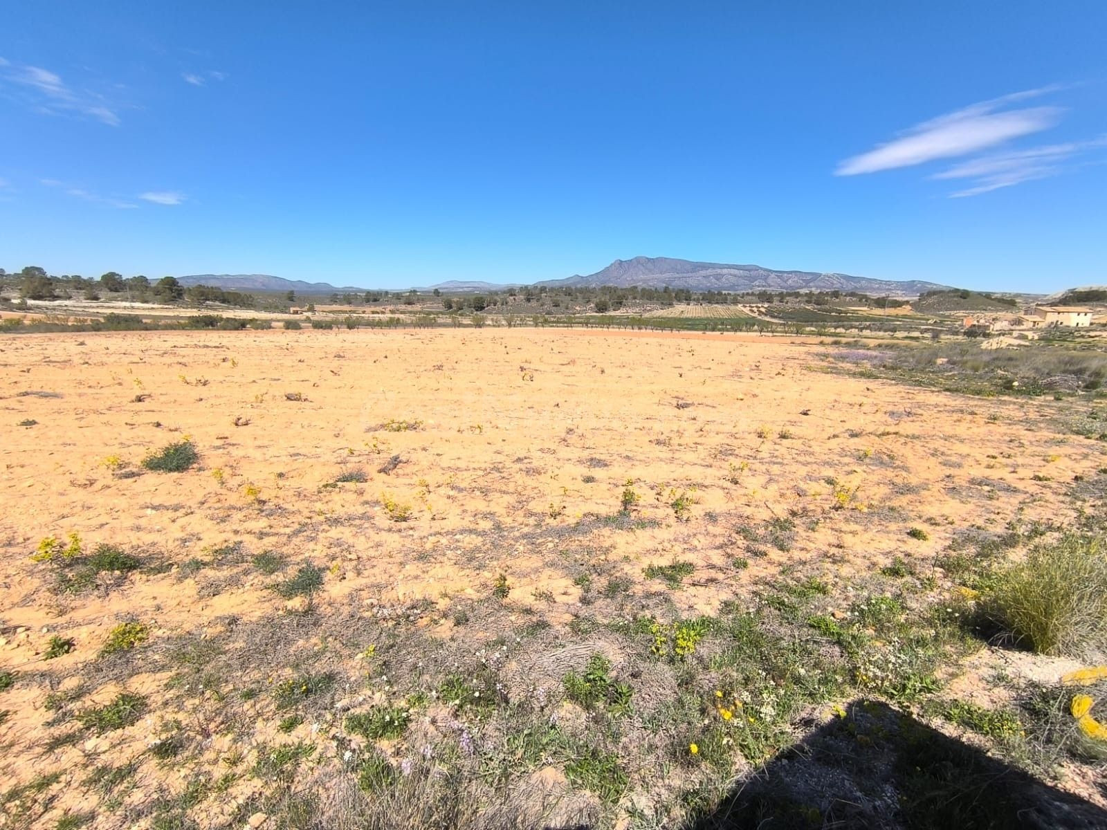 Parcela en venta - Jumilla