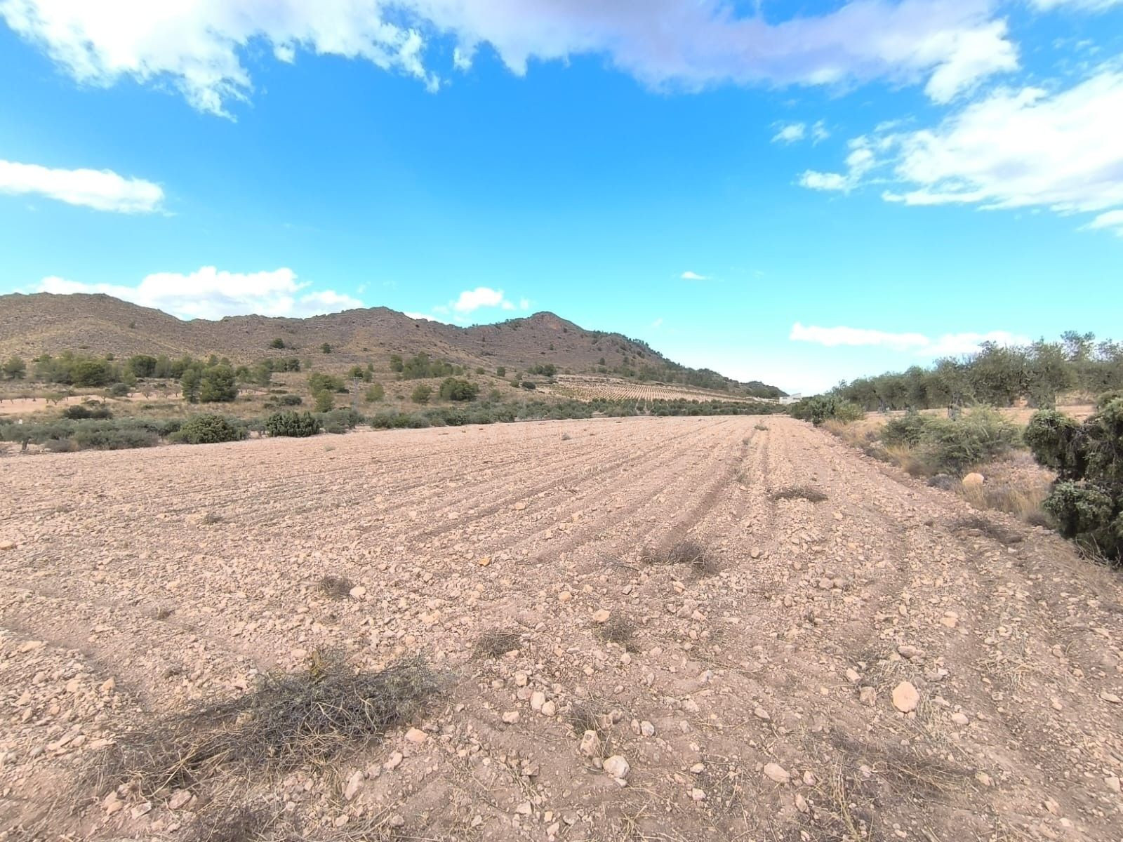 Parcela en venta - Ayuntamiento