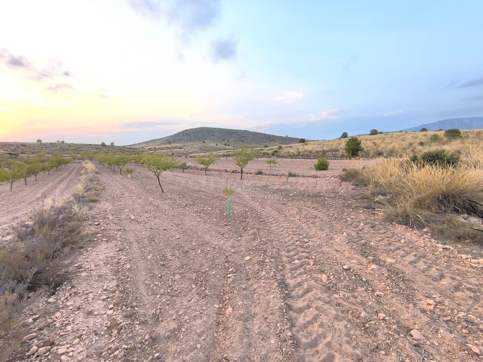 Parcela 2m² en venta - Comunidad valenciana