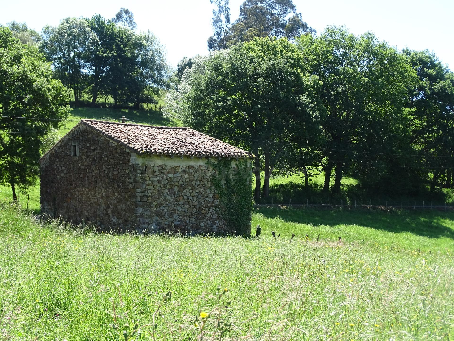 Cabaña en finca de 11.000 m2, accesible y bien conectada