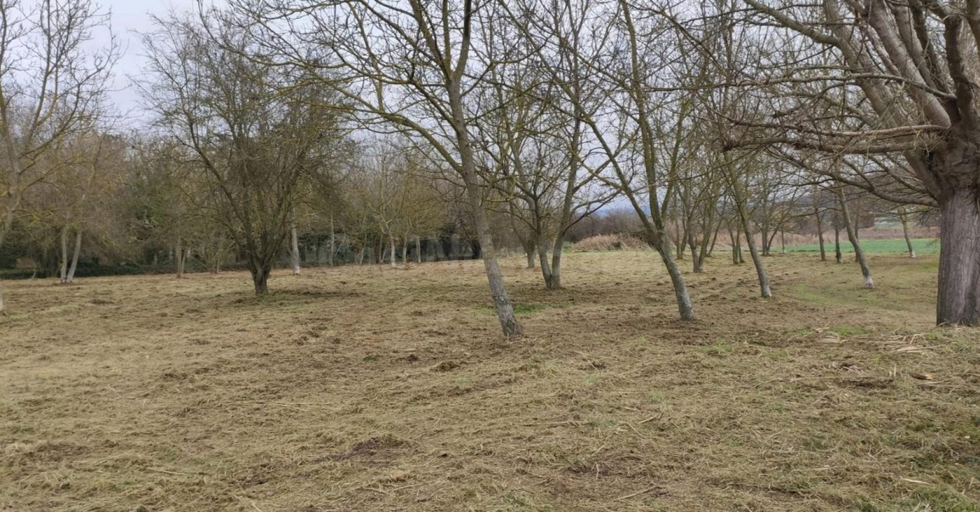 Terreno urbano 5200m² en venta - Área de Tona - foto 2
