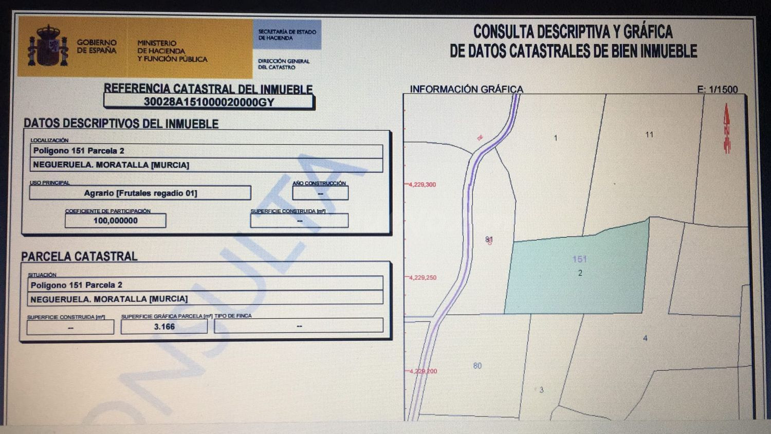 Terreno rural en venta - Moratalla - foto 3