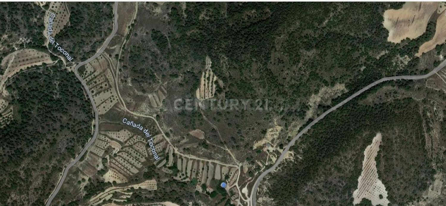 Terreno rural en venta - Fortuna