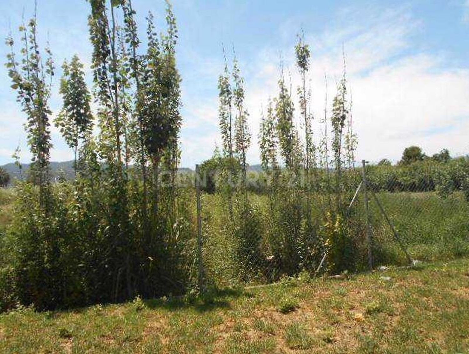 Terreno rural en venta - Pedanías Oeste