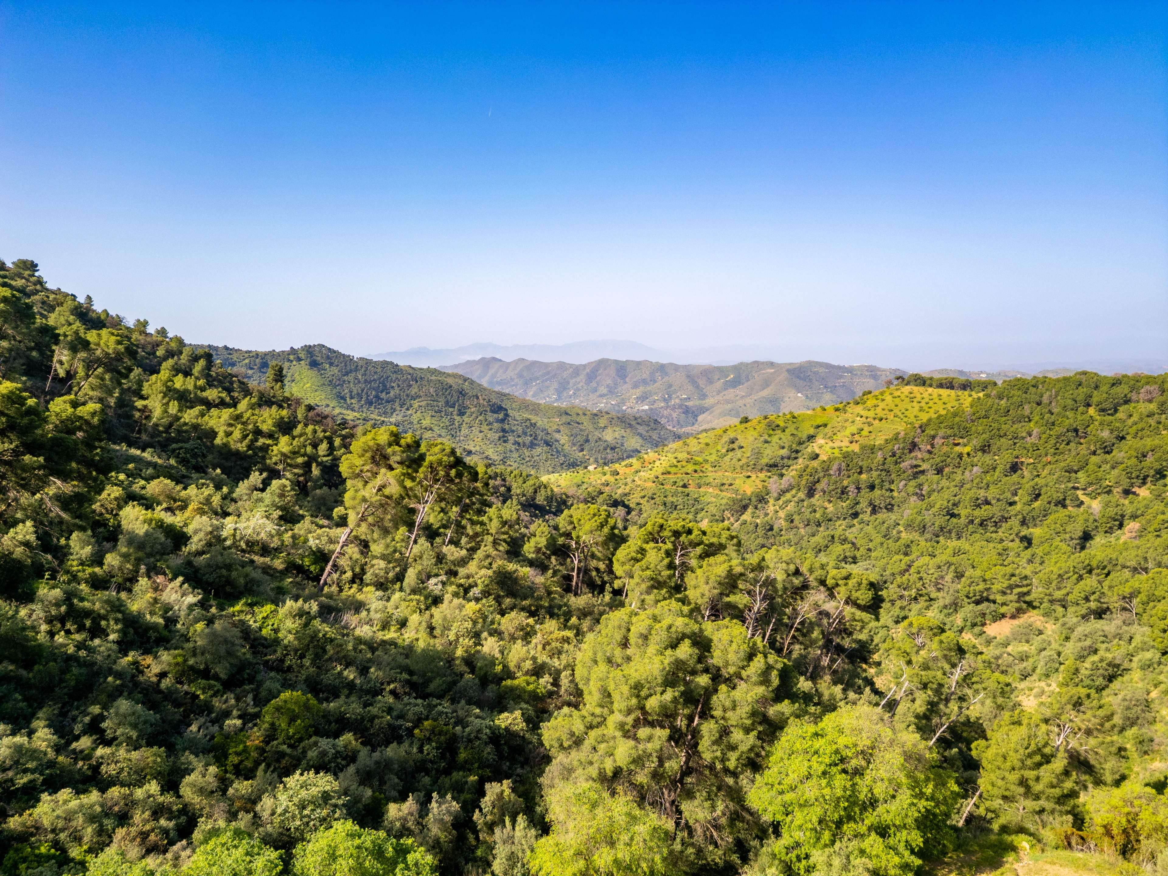 Cortijo Andaluz en Montes de Málaga: Propiedad Exclusiva con Licencia Turística