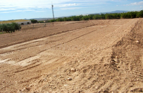 Parcela en alquiler - Los Almagros - Los Paganes - El Escoba - foto 2