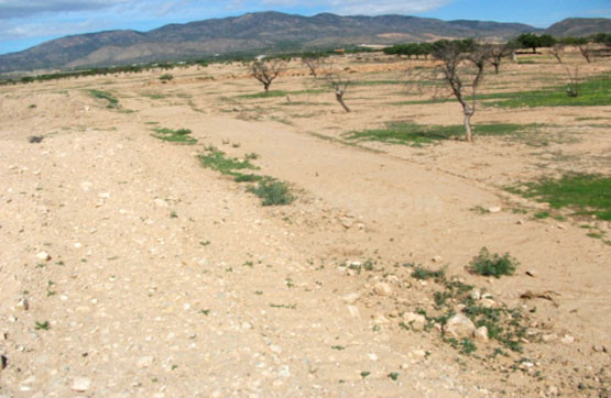 Parcela en alquiler - Los Almagros - Los Paganes - El Escoba - foto 3