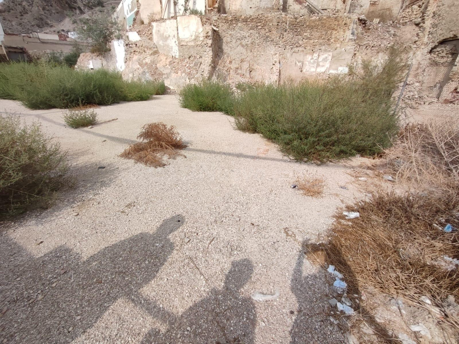 Solar en venta - Callosa de segura
