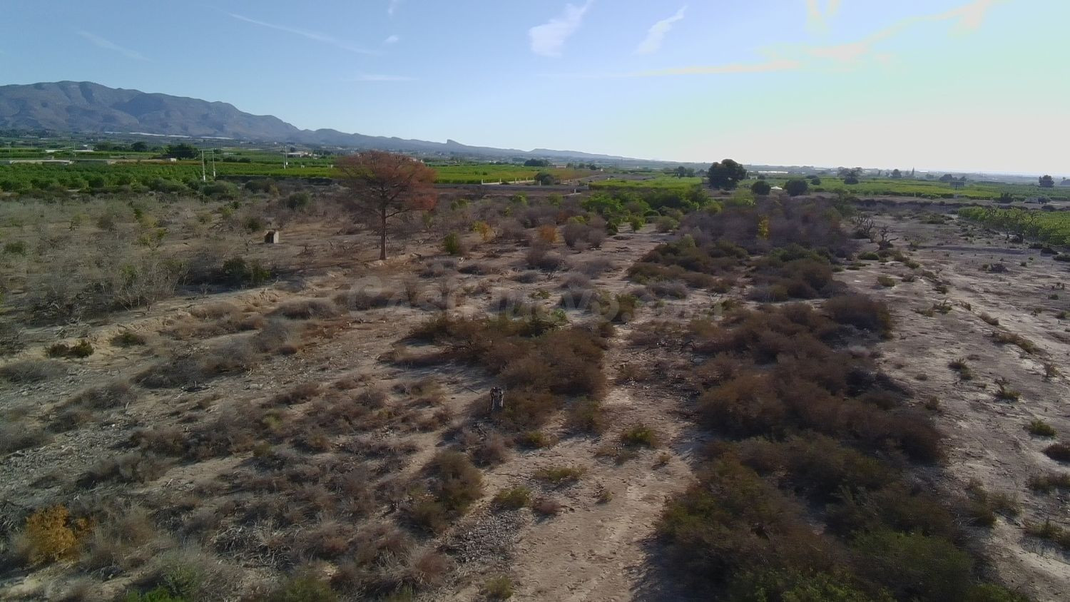 Terreno rural en venta - ALBATERA