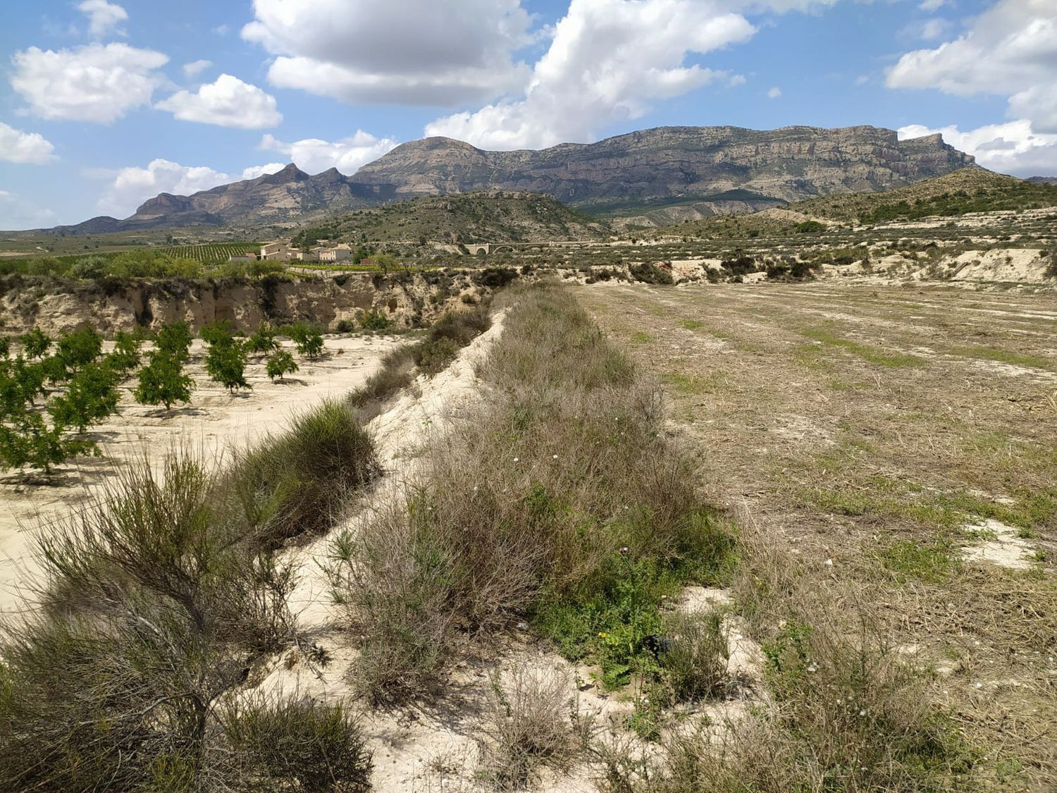 Terreno rural en venta - 03610