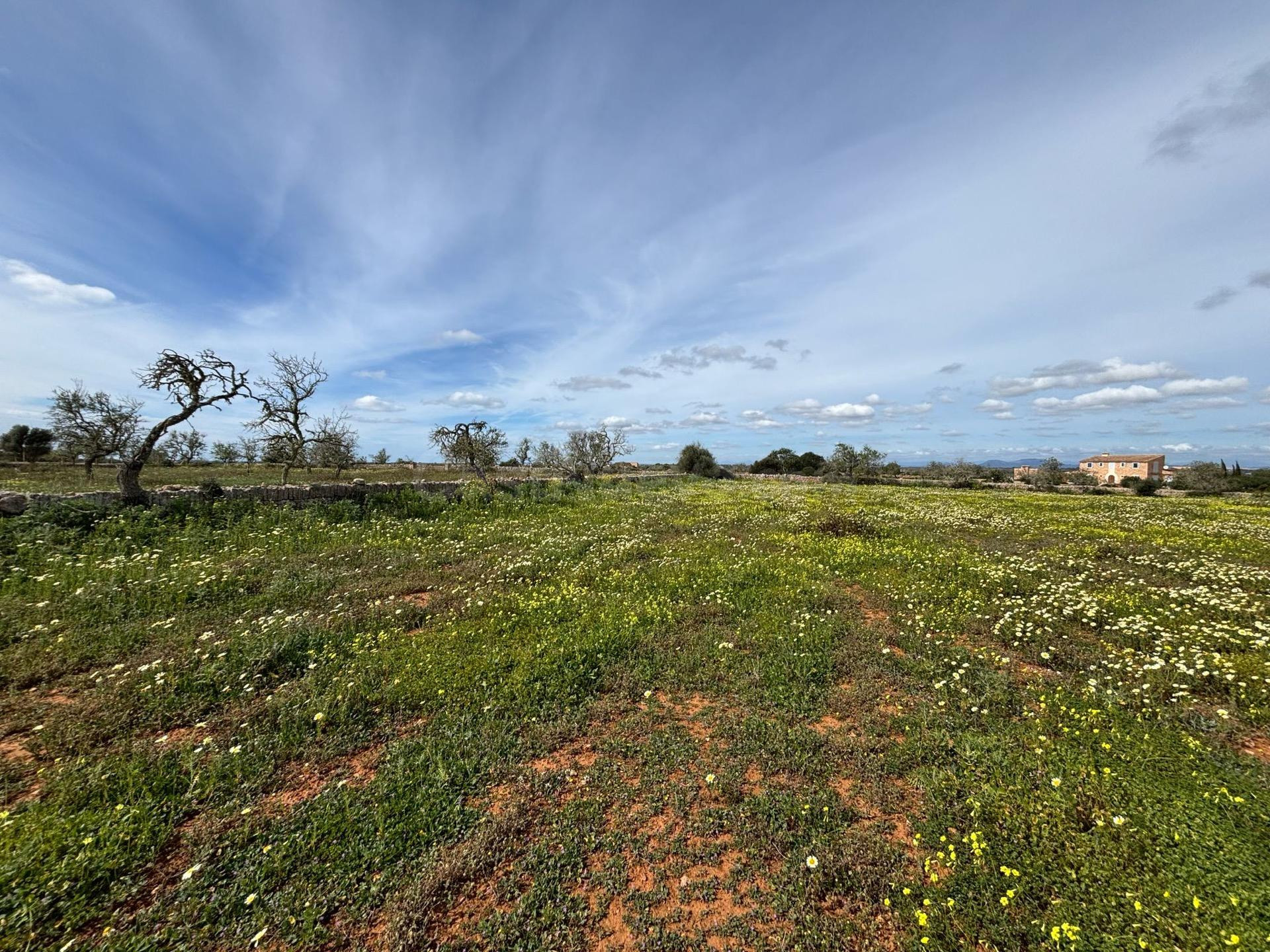 Casa de campo 4 habitaciones 350m² en venta - Área de Santanyí