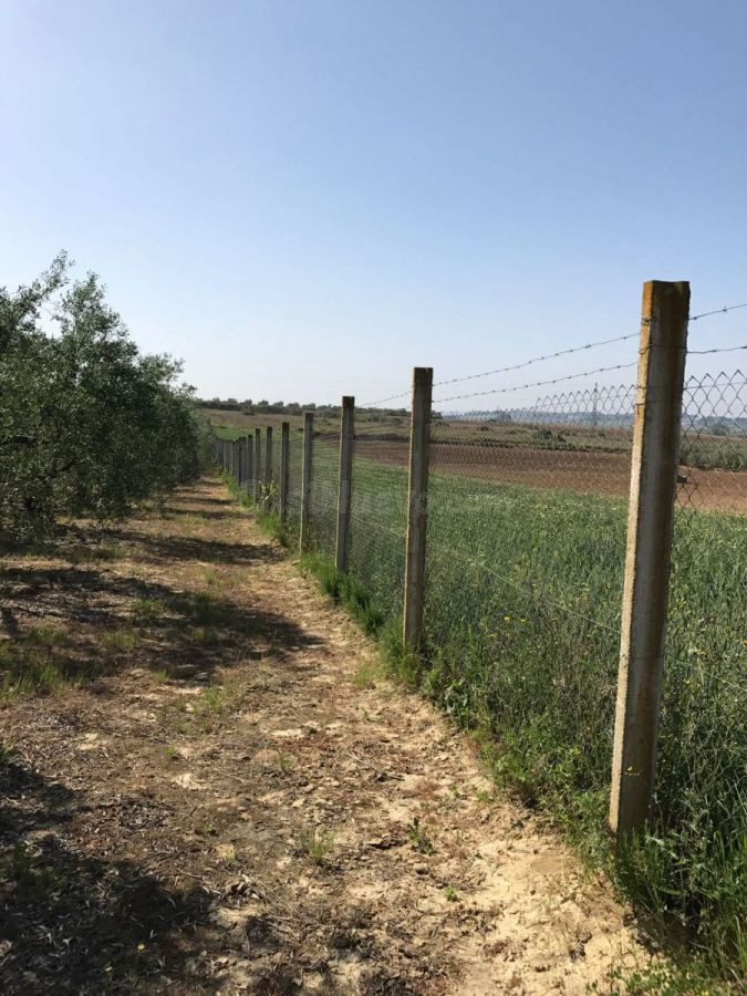 Finca rústica en venta - Rociana del condado