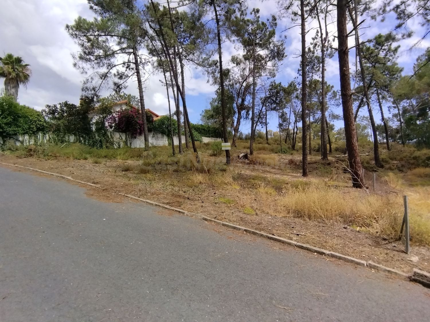 Terreno urbano 375m² en venta - Urbanizacion pinar de la bot - foto 3
