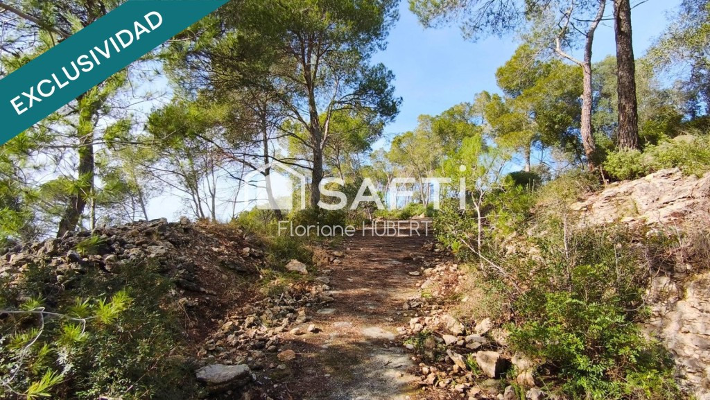 TERRENO DE 2705M2 EDIFICABLE EN CERVELLO.