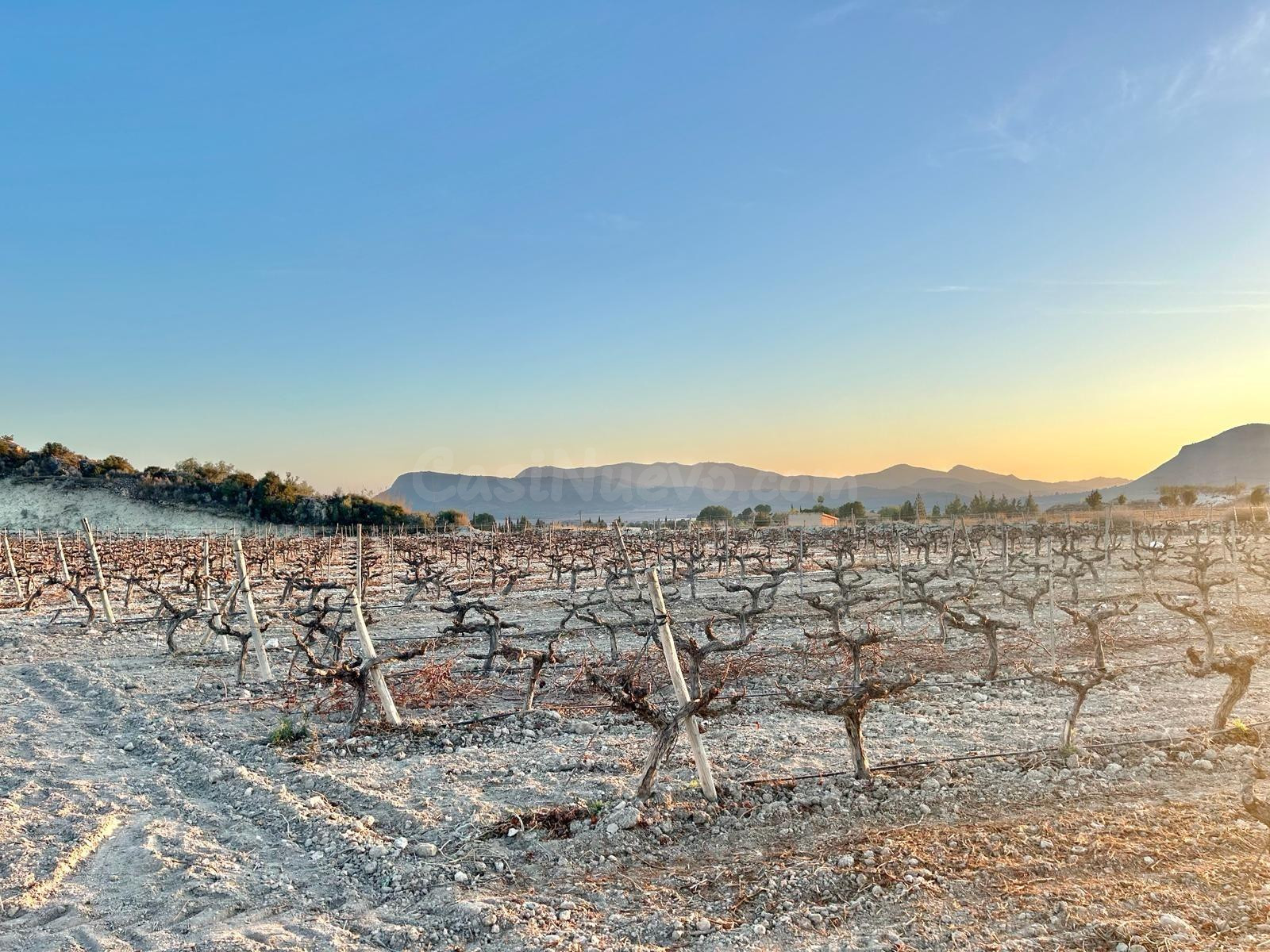 Terreno rural en venta - BETIES