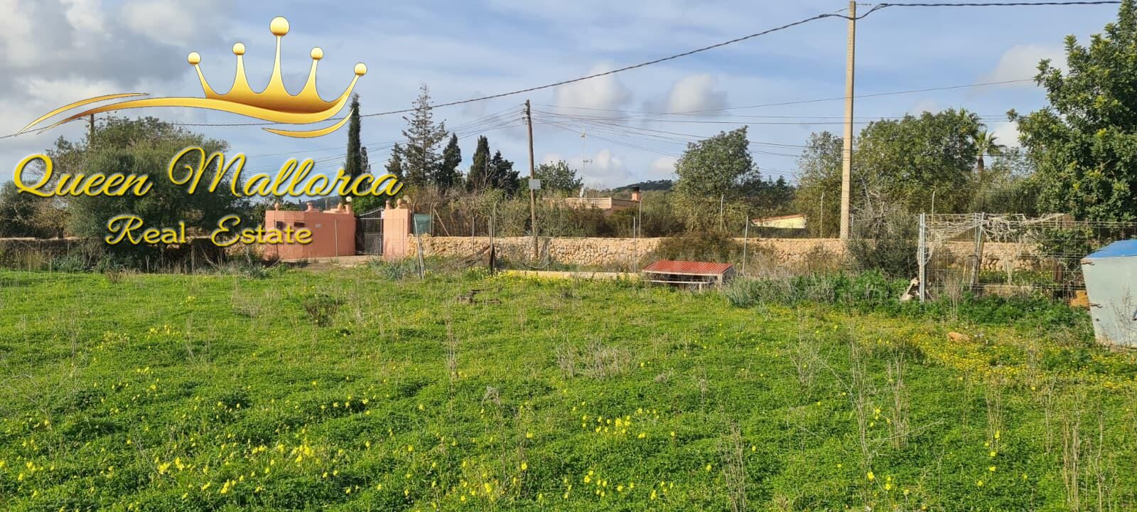 Terreno rústico en venta con excelente accesibilidad y vistas despejadas