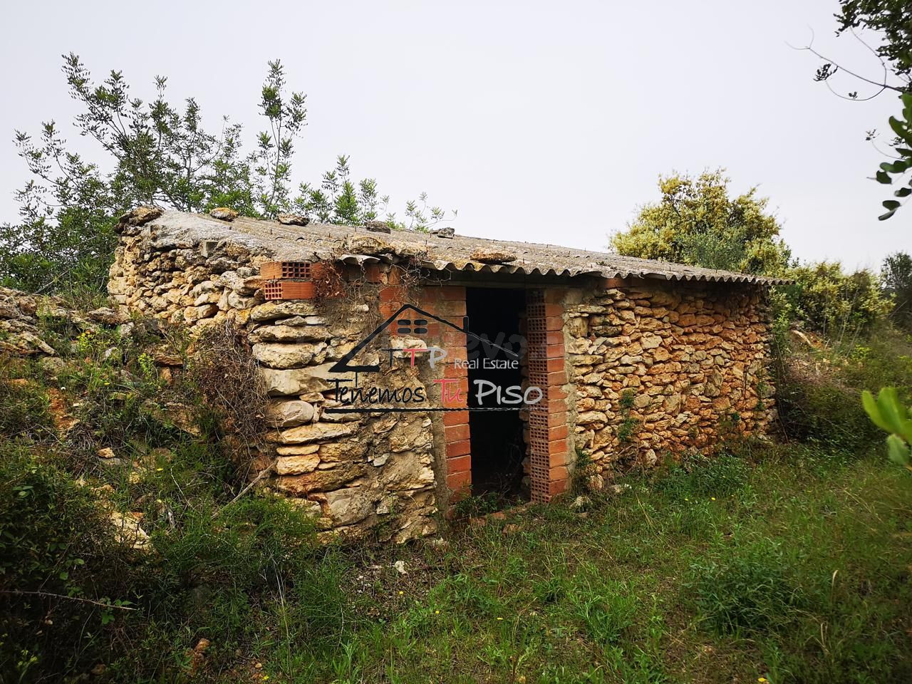 Terreno rural en venta - Cervera del Maestre