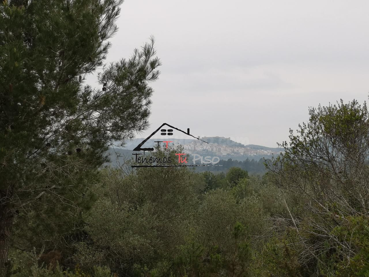 Terreno rural en venta - Cervera del Maestre - foto 2