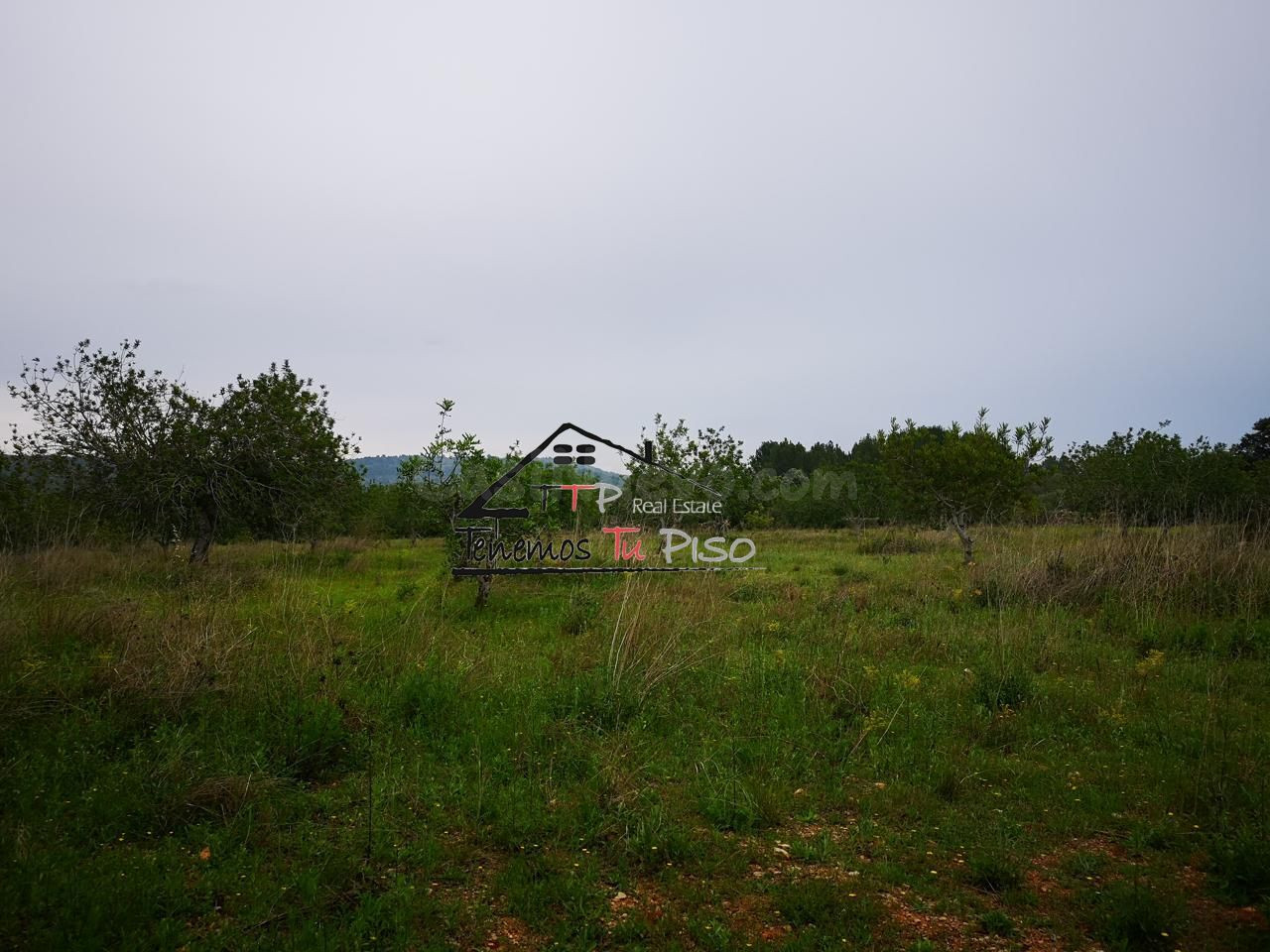 Terreno rural en venta - Cervera del Maestre - foto 4